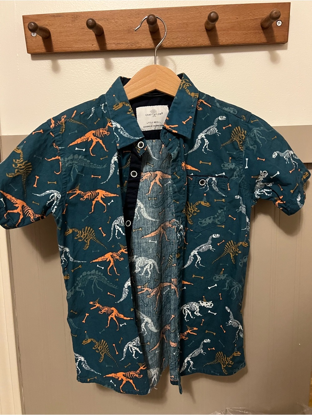 Teal Short Sleeve Dinosaur Print Button-Down Shirt
